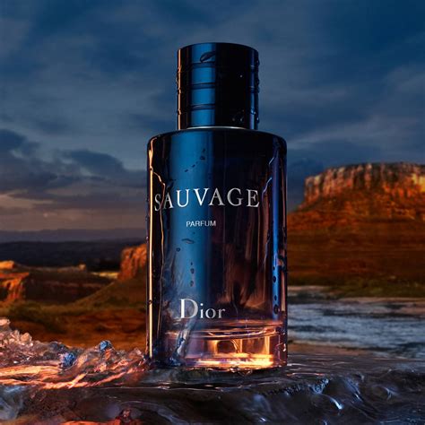 dior saubage edp|how expensive is Dior Sauvage.